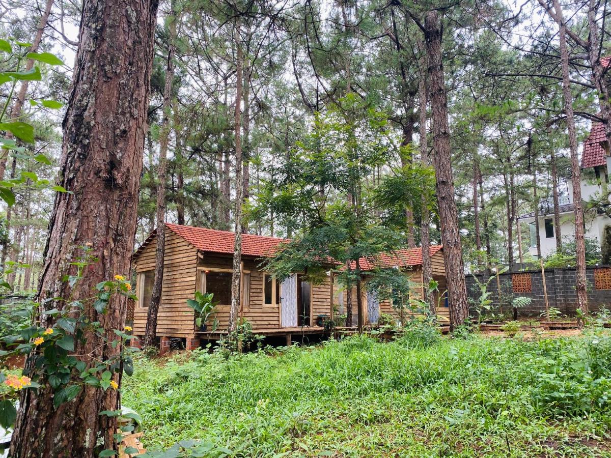 La Maison Homestay Mang Den Tỉnh Kontum Exterior photo