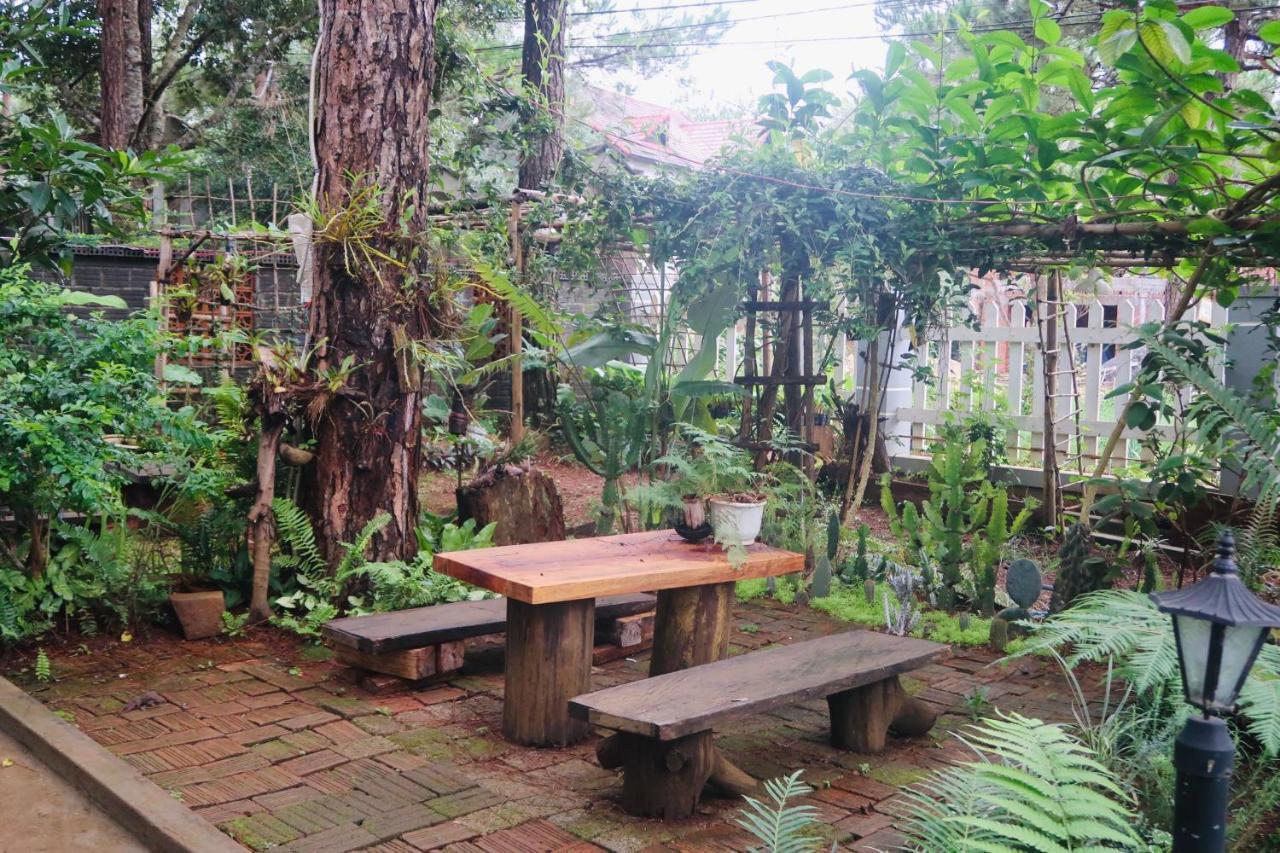 La Maison Homestay Mang Den Tỉnh Kontum Exterior photo