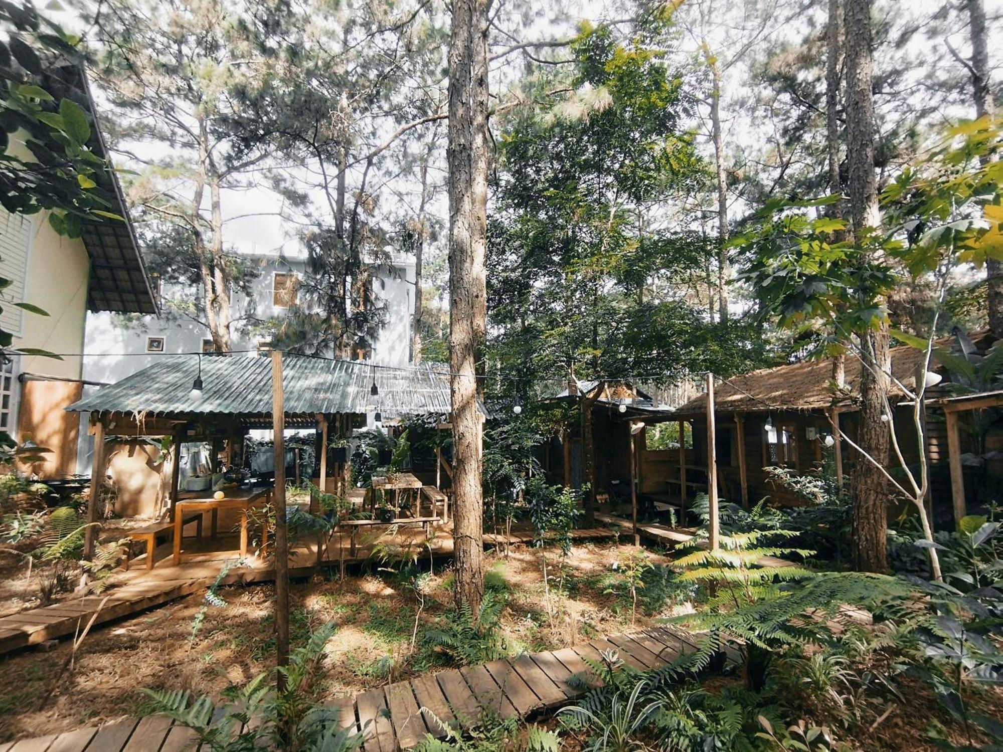 La Maison Homestay Mang Den Tỉnh Kontum Exterior photo