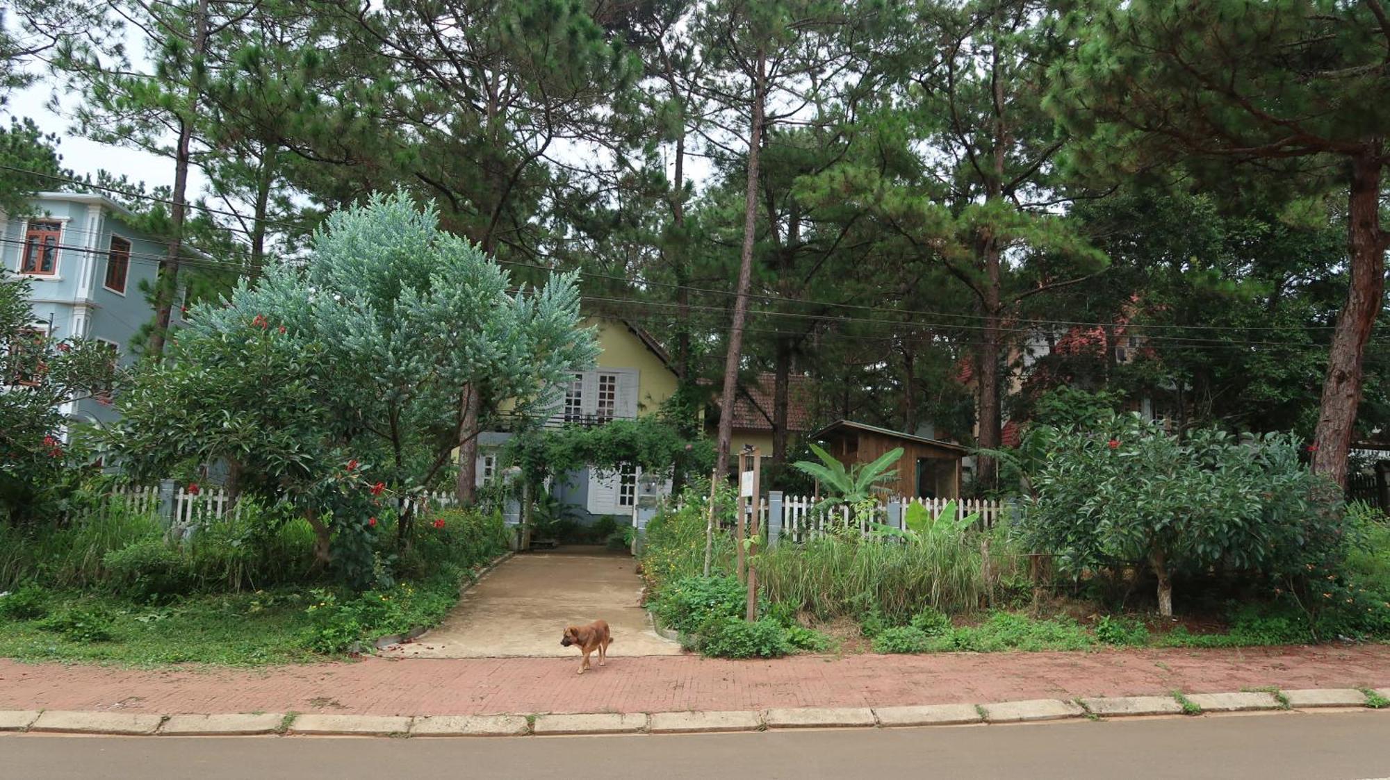 La Maison Homestay Mang Den Tỉnh Kontum Exterior photo