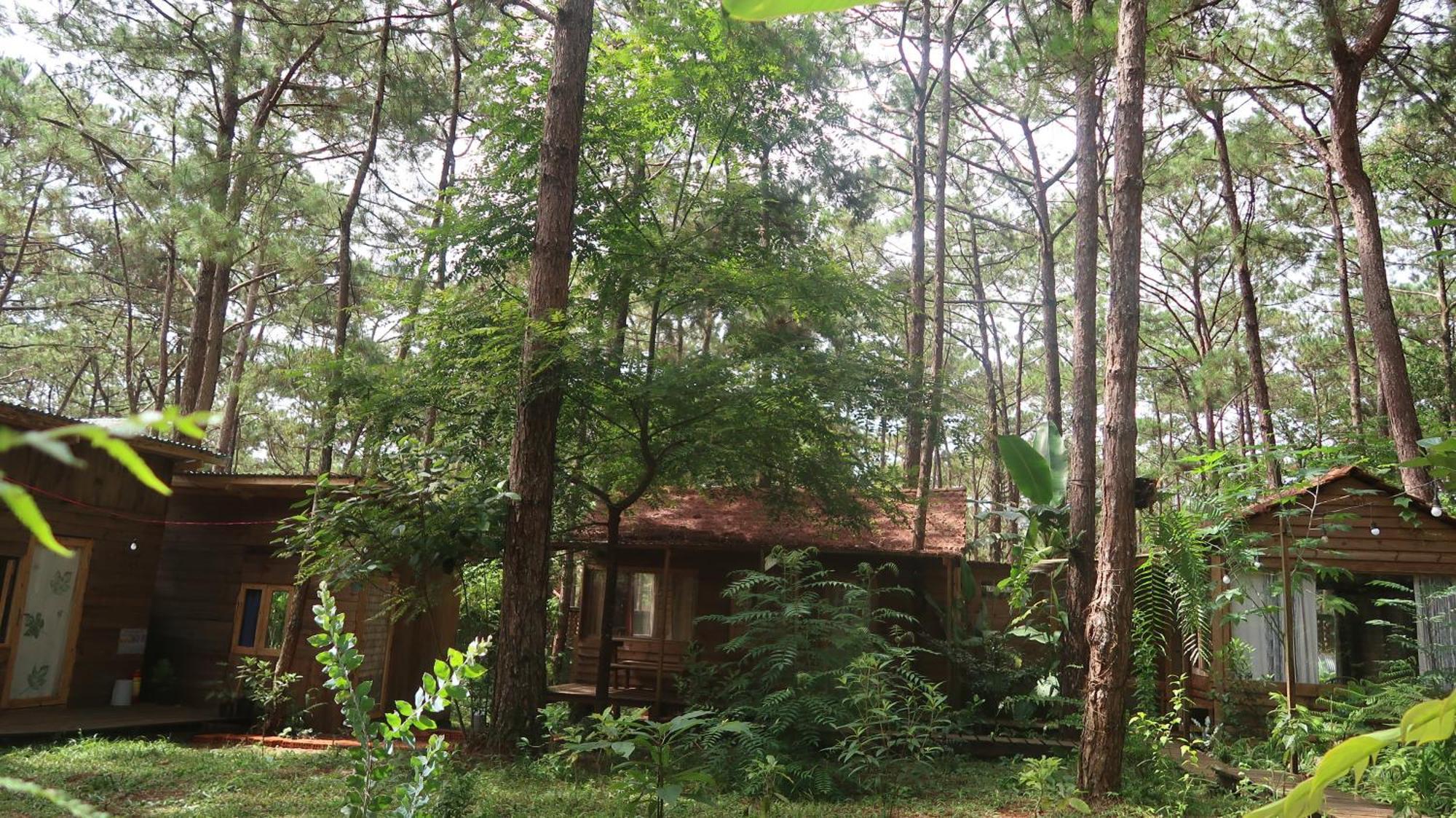 La Maison Homestay Mang Den Tỉnh Kontum Exterior photo